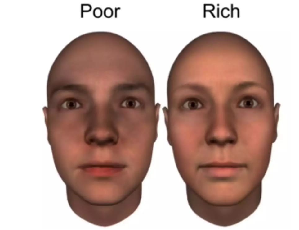 Estudo revela como traços faciais influenciam percepções de riqueza e status social